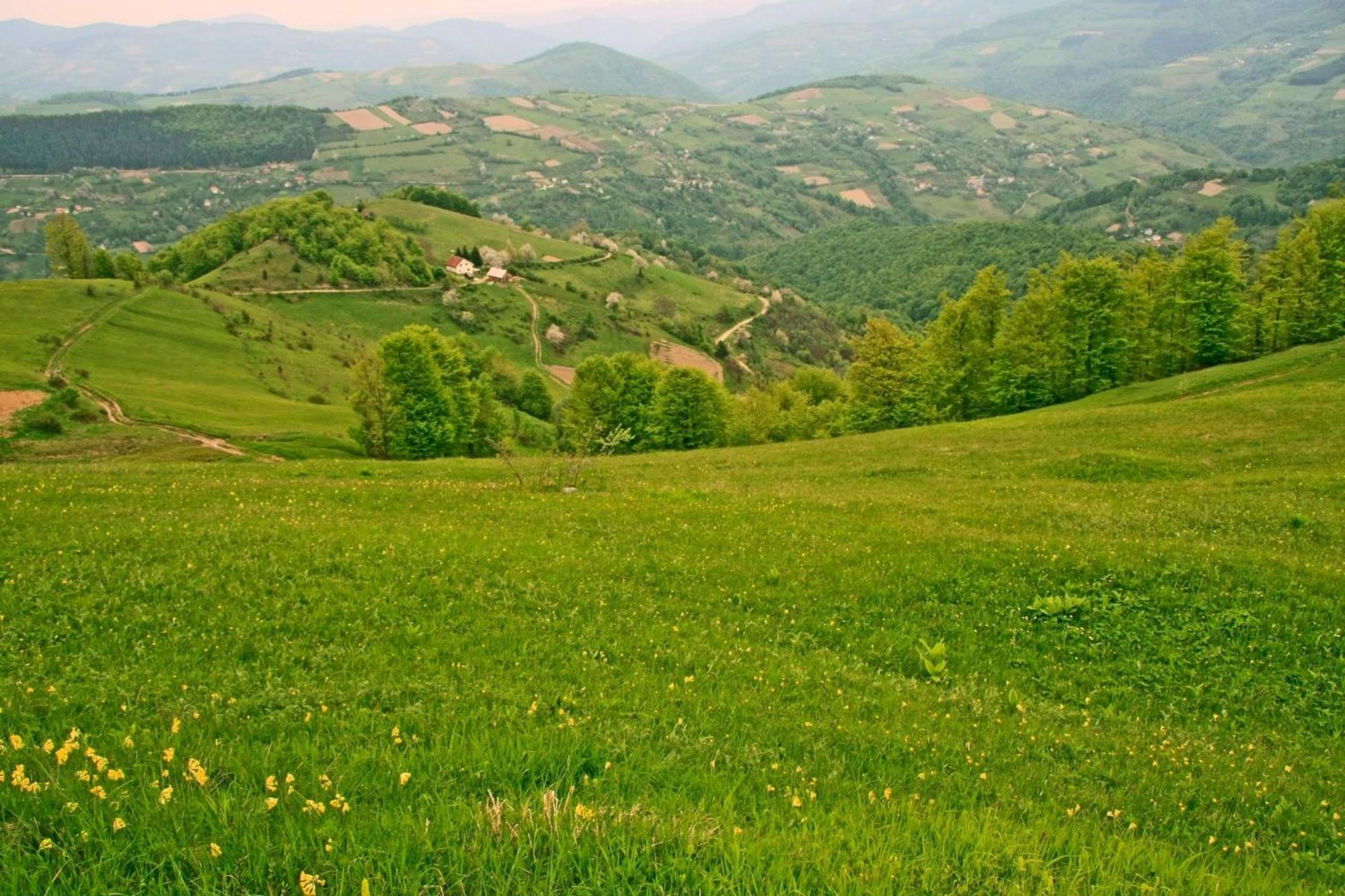 Hotel Javor Kušići Esterno foto